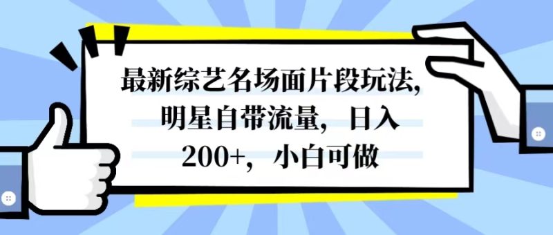 （8114期）最新综艺名场面片段玩法，明星自带流量，日入200+，小白可做| 副业网
