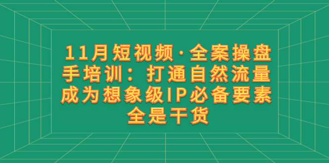 （8182期）11月短视频·全案操盘手培训：打通自然流量 成为想象级IP必备要素 全是干货| 副业网