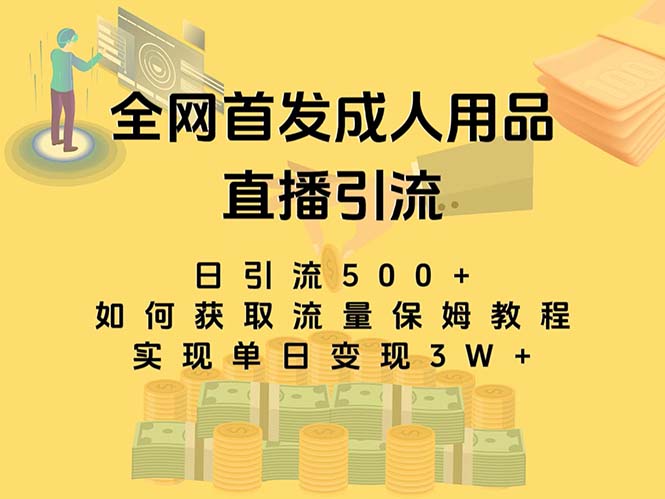 （8193期）最新全网独创首发，成人用品直播引流获客暴力玩法，单日变现3w保姆级教程| 副业网