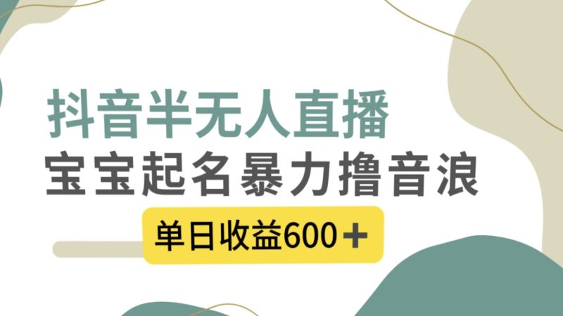 （8192期）抖音半无人直播，宝宝起名，暴力撸音浪，单日收益600+| 副业网