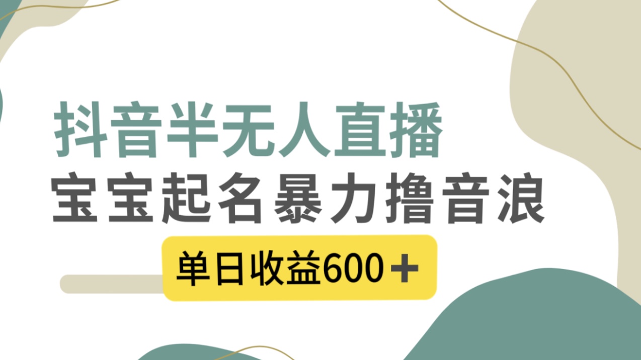 （8192期）抖音半无人直播，宝宝起名，暴力撸音浪，单日收益600+| 副业网