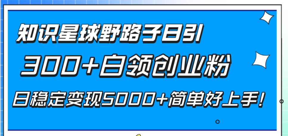 （8315期）知识星球野路子日引300+白领创业粉，日稳定变现5000+简单好上手！| 副业网