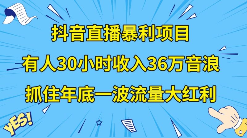 （8388期）抖音直播暴利项目，有人30小时收入36万音浪，公司宣传片年会视频制作，…| 副业网