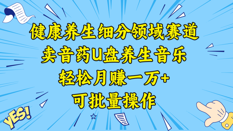 （8503期）健康养生细分领域赛道，卖音药U盘养生音乐，轻松月赚一万+，可批量操作| 副业网