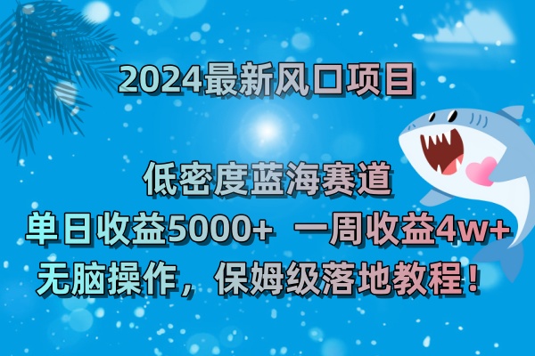 （8545期）2024最新风口项目 低密度蓝海赛道，日收益5000+周收益4w+ 无脑操作，保…| 副业网