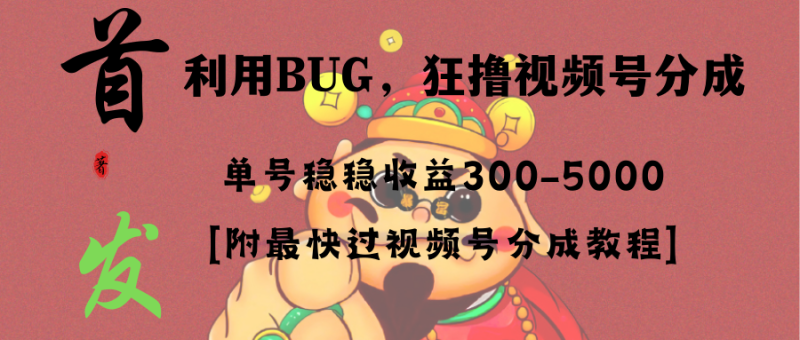 （8549期）全网独家首发，视频号BUG，超短期项目，单号每日净收益300-5000！| 副业网
