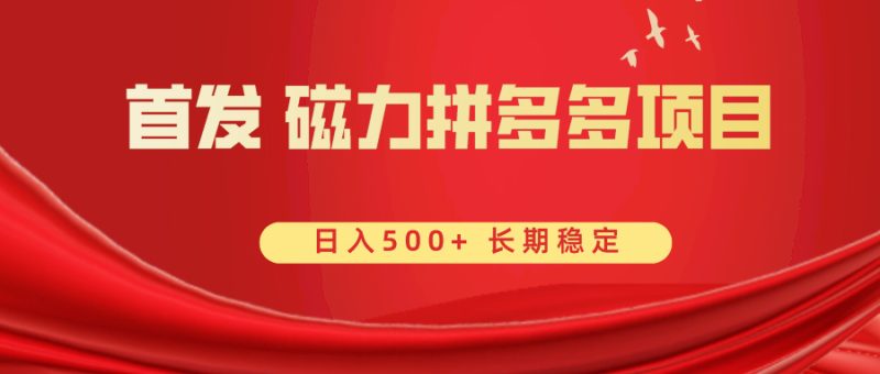 （8611期）首发 磁力拼多多自撸  日入500+| 副业网