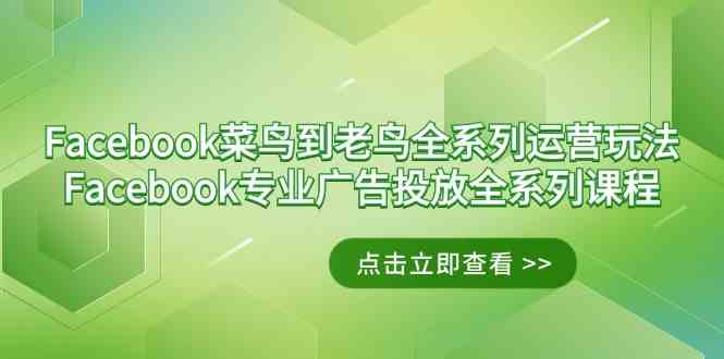 （9065期）Facebook-菜鸟到老鸟全系列运营玩法+Facebook-专业广告投放全系列课程| 网创圈
