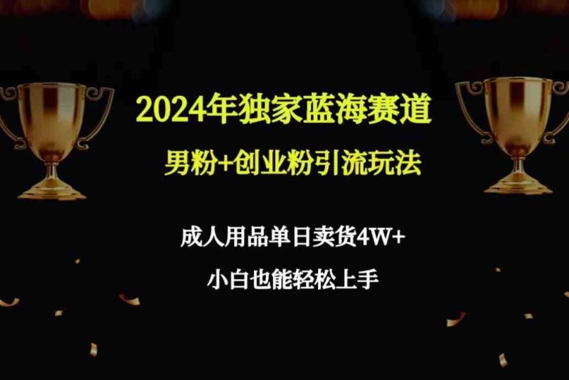 （9111期）2024年独家蓝海赛道男粉+创业粉引流玩法，成人用品单日卖货4W+保姆教程| 副业网
