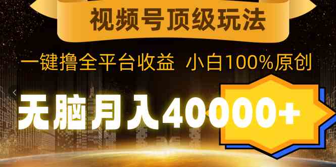 （9281期）视频号顶级玩法，无脑月入40000+，一键撸全平台收益，纯小白也能100%原创| 网创圈