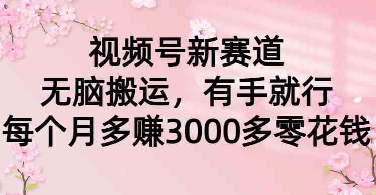 （9278期）视频号新赛道，无脑搬运，有手就行，每个月多赚3000多零花钱| 网创圈
