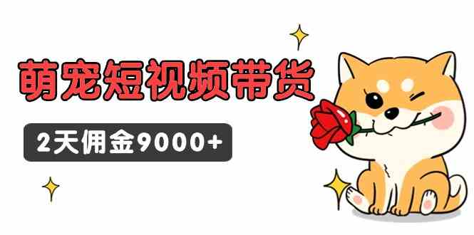 （9273期）东哲日记·萌宠短视频带货，2天佣金9000+| 网创圈