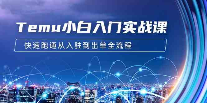 （9295期）Temu小白入门实战课：跨境拼多多电商培训 快速跑通从入驻到出单全流程-12节| 网创圈