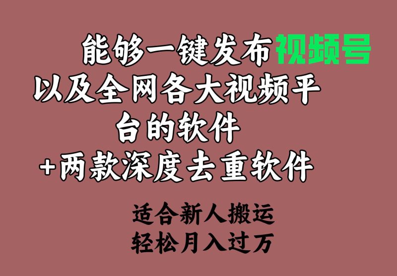 （9319期）能够一键发布视频号以及全网各大视频平台的软件+两款深度去重软件 适合…| 网创圈