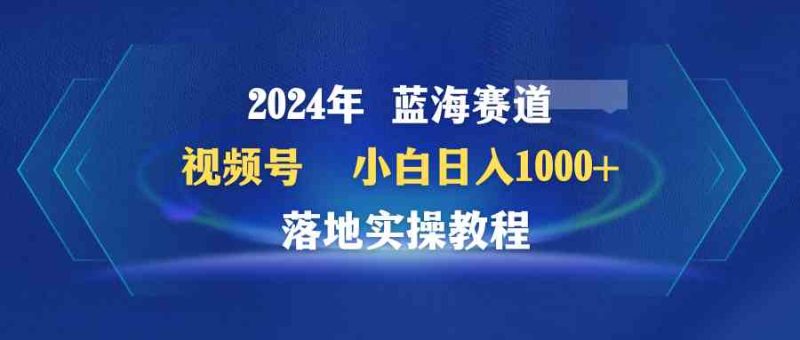 （9515期）2024年蓝海赛道 视频号  小白日入1000+ 落地实操教程| 副业网