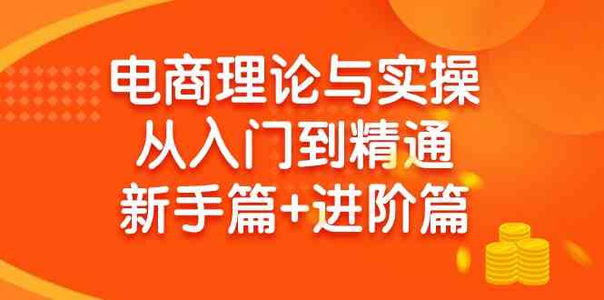 （9576期）电商理论与实操从入门到精通 新手篇+进阶篇| 网创圈