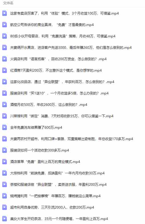 图片[8]| （9607期）真实有效391套商业模式，年入几十到几百万案例解析（电子书+视频+图文）| 网创圈