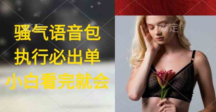 （9589期）执行就出单，日入2000+，超火骚气语音包，小白看完课程就能马上实操| 副业网