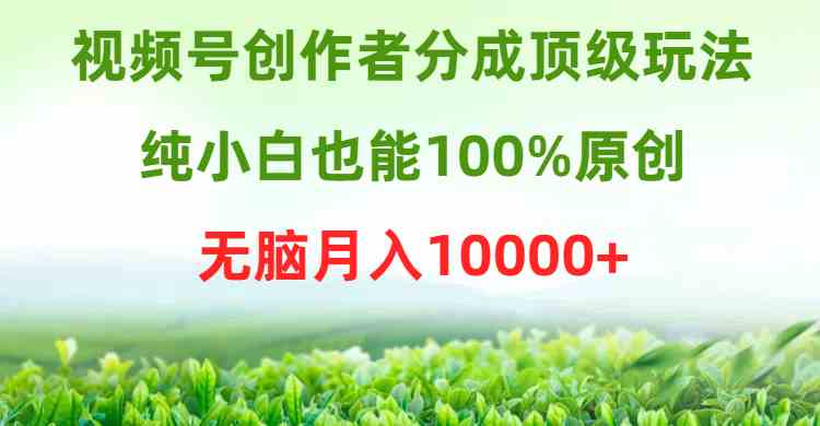 （9608期）视频号创作者分成顶级玩法，纯小白也能100%原创，无脑月入10000+| 网创圈