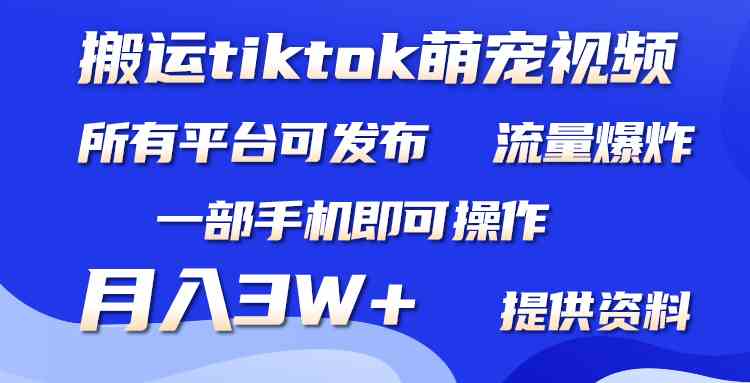 （9618期）搬运Tiktok萌宠类视频，一部手机即可。所有短视频平台均可操作，月入3W+| 副业网