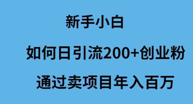 （9668期）新手小白如何日引流200+创业粉通过卖项目年入百万| 网创圈