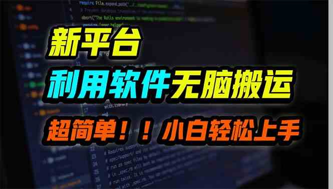 （9745期）新平台用软件无脑搬运，月赚10000+，小白也能轻松上手| 网创圈