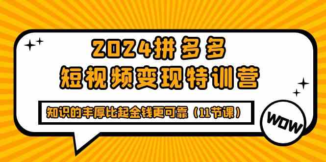 （9817期）2024拼多多短视频变现特训营，知识的丰厚比起金钱更可靠（11节课）| 网创圈
