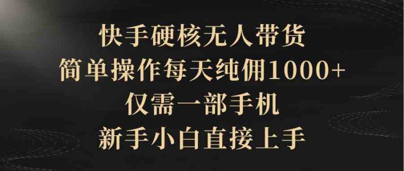 （9861期）快手硬核无人带货，简单操作每天纯佣1000+,仅需一部手机，新手小白直接上手| 网创圈