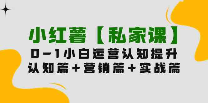 （9910期）小红薯【私家课】0-1玩赚小红书内容营销，认知篇+营销篇+实战篇（11节课）| 网创圈