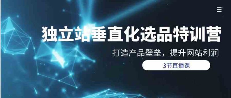 （9925期）独立站-垂直化选品训练营，打造产品壁垒，提升网站利润（3节直播课）| 网创圈