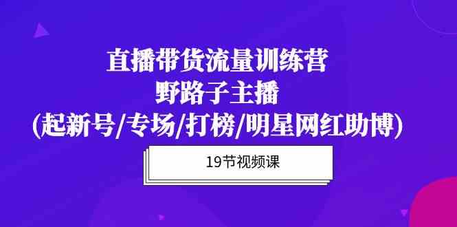 （10016期）直播带货流量特训营，野路子主播(起新号/专场/打榜/明星网红助博)19节课| 网创圈