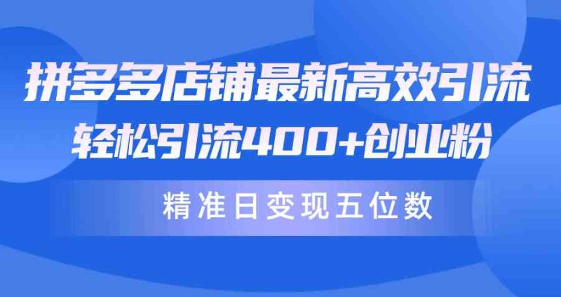 （10041期）拼多多店铺最新高效引流术，轻松引流400+创业粉，精准日变现五位数！| 网创圈