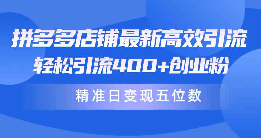 （10041期）拼多多店铺最新高效引流术，轻松引流400+创业粉，精准日变现五位数！| 网创圈