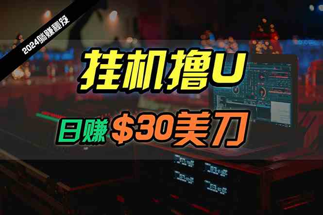 （10013期）日赚30美刀，2024最新海外挂机撸U内部项目，全程无人值守，可批量放大| 网创圈