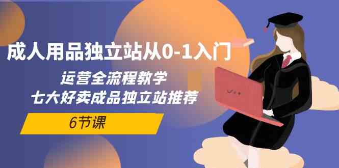 （10082期）成人用品独立站从0-1入门，运营全流程教学，七大好卖成品独立站推荐-6节课| 网创圈