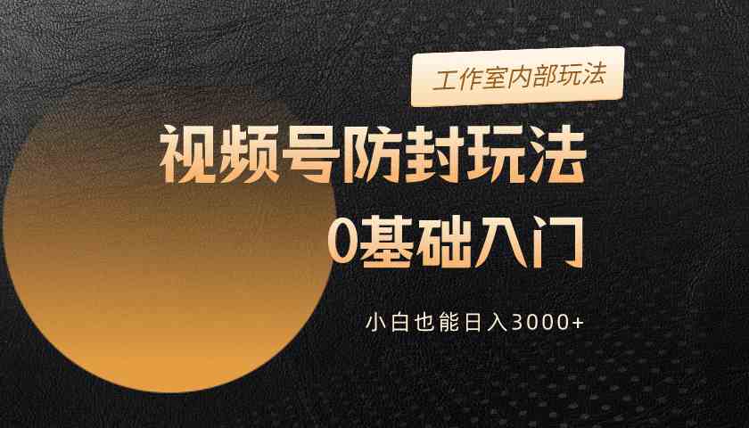 （10107期）2024视频号升级防封玩法，零基础入门，小白也能日入3000+| 网创圈