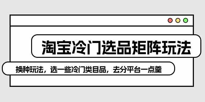 （10159期）淘宝冷门选品矩阵玩法：换种玩法，选一些冷门类目品，去分平台一点羹| 网创圈