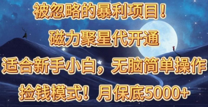 （10245期）被忽略的暴利项目！磁力聚星代开通捡钱模式，轻松月入五六千| 网创圈