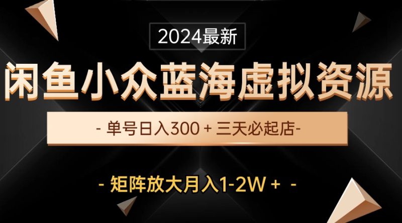 （10336期）最新闲鱼小众蓝海虚拟资源，单号日入300＋，三天必起店，矩阵放大月入1-2W| 网创圈