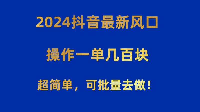 （10413期）2024抖音最新风口！操作一单几百块！超简单，可批量去做！！！| 副业网