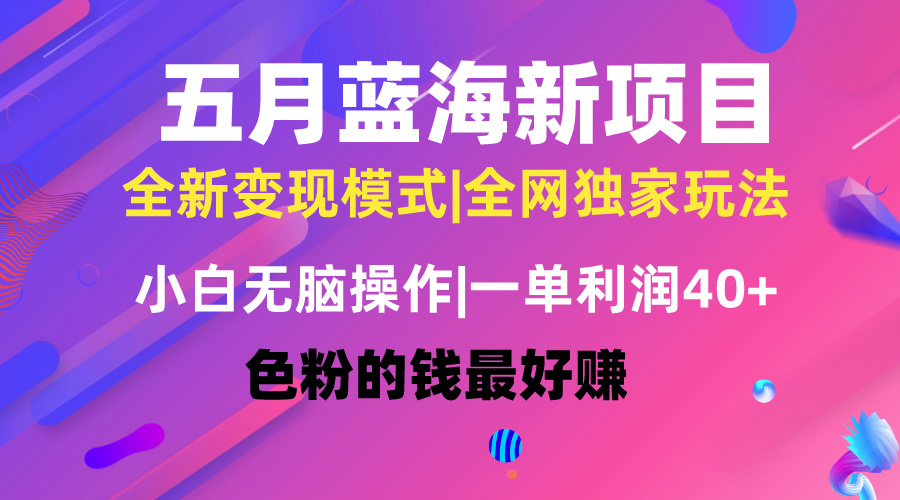 （10477期）五月蓝海项目全新玩法，小白无脑操作，一天几分钟，矩阵操作，月入4万+| 网创圈