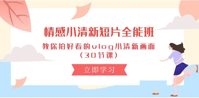 （10567期）情感 小清新短片-全能班，教你拍好看的vlog小清新画面 (30节课)| 网创圈