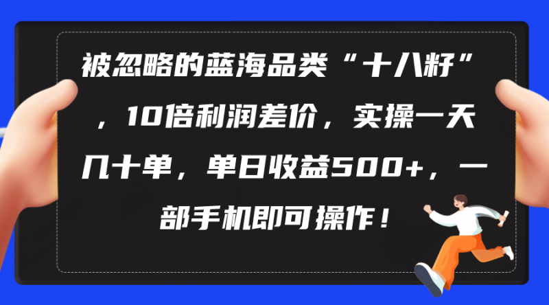 （10696期）被忽略的蓝海品类“十八籽”，10倍利润差价，实操一天几十单 单日收益500+| 副业网