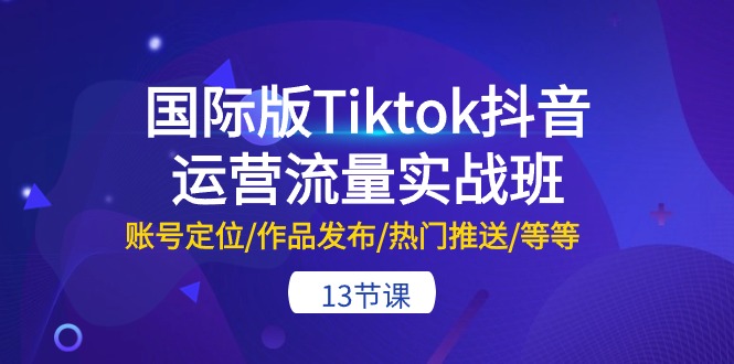 （10712期）国际版Tiktok抖音运营流量实战班：账号定位/作品发布/热门推送/等等-13节| 网创圈