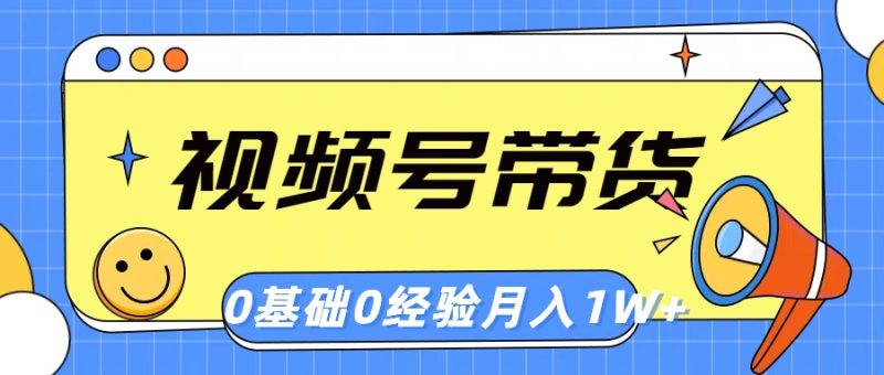 （10723期）视频号轻创业带货，零基础，零经验，月入1w+| 网创圈