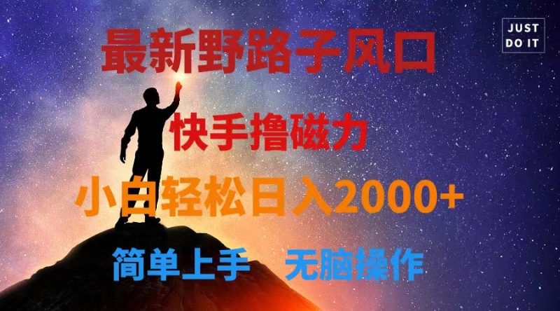 （10754期）最新风口！快手撸磁力，野路子，小白无脑操作日入2000+| 网创圈