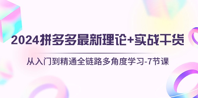 （10816期）2024拼多多 最新理论+实战干货，从入门到精通全链路多角度学习-7节课| 网创圈