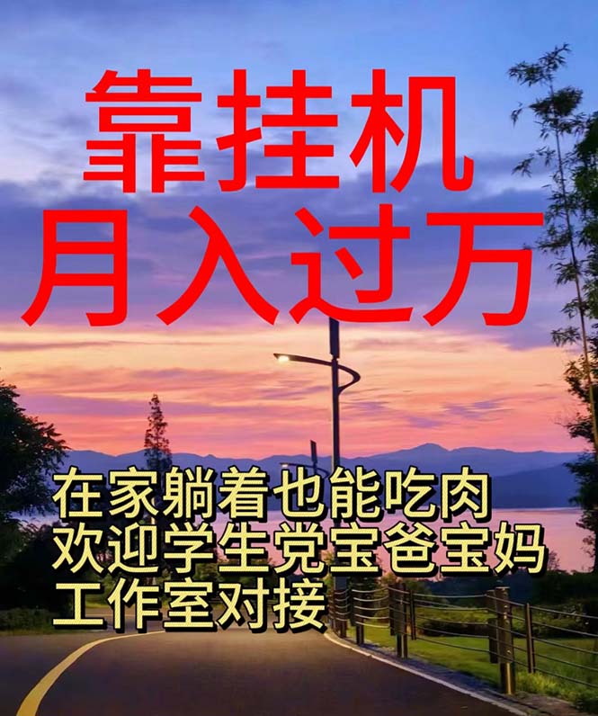 （10838期）靠挂机，日入1000+，躺着也能吃肉，适合宝爸宝妈学生党工作室，电脑手…| 网创圈