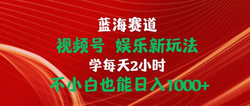 （10818期）蓝海赛道视频号 娱乐新玩法每天2小时小白也能日入1000+| 网创圈