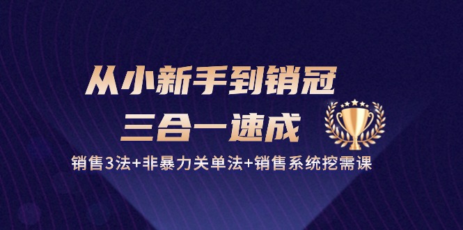 （10799期）从小新手到销冠 三合一速成：销售3法+非暴力关单法+销售系统挖需课 (27节)| 副业网